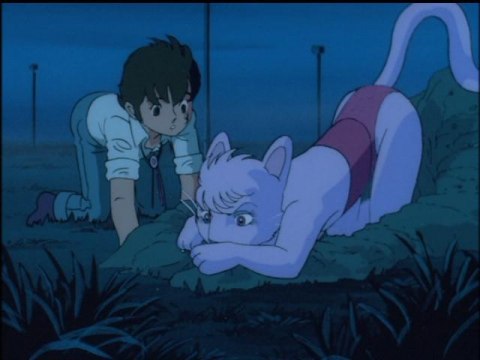 アニメ 24時間テレビスペシャルアニメ 大自然の魔獣バギ 24時間テレビスペシャルアニメ 大自然の魔獣バギ フル動画 初月無料 動画配信サービスのビデオマーケット