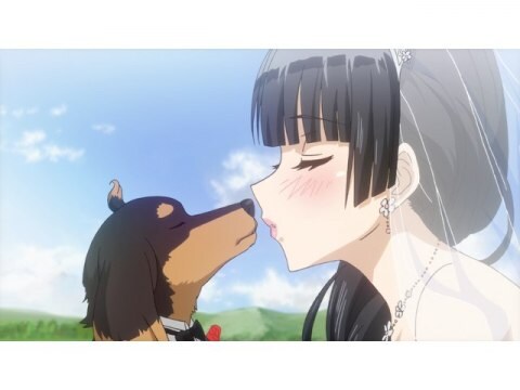 アニメ 犬とハサミは使いよう 12 犬とハサミは使いよう フル動画 初月無料 動画配信サービスのビデオマーケット