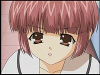 アニメ W ウィッシュ 第七話 夏だ 海だ 水着だ フル動画 初月無料 動画配信サービスのビデオマーケット
