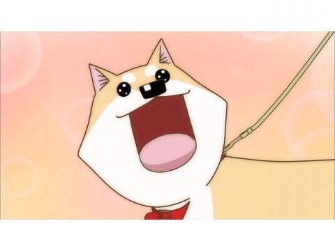 アニメ テレビアニメいとしのムーコ こまつさん 朝顔が咲いてますよ フル動画 初月無料 動画配信サービスのビデオマーケット アニメ テレビアニメいとしのムーコ こまつさん 朝顔が咲いてますよ フル動画 初月無料 動画配信サービスのビデオマーケット