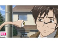 無料視聴あり アニメ 寄生獣 セイの格率 の動画まとめ 初月無料 動画配信サービスのビデオマーケット