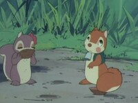 シートン動物記 りすのバナー 第17話 第21話のまとめフル動画 初月無料 動画配信サービスのビデオマーケット
