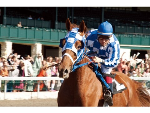 映画 セクレタリアト 奇跡のサラブレッド セクレタリアト 奇跡のサラブレッド 吹き替え 字幕版 フル動画 初月無料 動画配信サービスのビデオマーケット