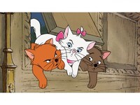 アニメ おしゃれキャット フル動画 初月無料 動画配信サービスのビデオマーケット