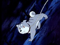 無料視聴あり アニメ 銀牙 流れ星銀 の動画まとめ 初月無料 動画配信サービスのビデオマーケット