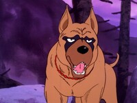 無料視聴あり アニメ 銀牙 流れ星銀 の動画まとめ 初月無料 動画配信サービスのビデオマーケット