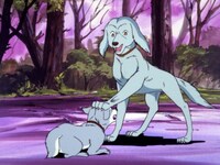 無料視聴あり アニメ 銀牙 流れ星銀 の動画まとめ 初月無料 動画配信サービスのビデオマーケット 無料視聴あり アニメ 銀牙 流れ星銀 の動画まとめ 初月無料 動画配信サービスのビデオマーケット