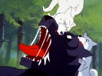 無料視聴あり アニメ 銀牙 流れ星銀 の動画まとめ 初月無料 動画配信サービスのビデオマーケット 無料視聴あり アニメ 銀牙 流れ星銀 の動画まとめ 初月無料 動画配信サービスのビデオマーケット