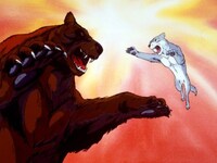 無料視聴あり アニメ 銀牙 流れ星銀 の動画まとめ 初月無料 動画配信サービスのビデオマーケット 無料視聴あり アニメ 銀牙 流れ星銀 の動画まとめ 初月無料 動画配信サービスのビデオマーケット