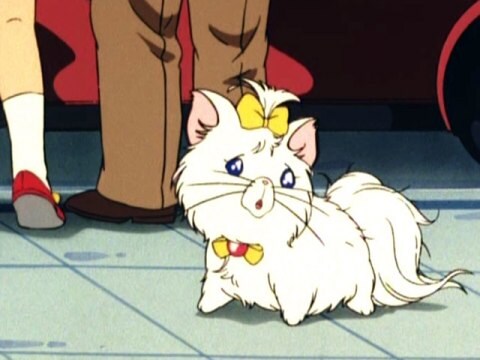 アニメ 魔法使いサリー 第2作 第3話 家出した隣の太ったお嬢様 フル動画 初月無料 動画配信サービスのビデオマーケット