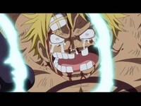 アニメ ワンピース ドレスローザ編 後編 第733話 天を討つ ルフィ怒りの大猿王銃 フル動画 初月無料 動画配信サービスのビデオマーケット