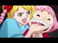 アニメ ワンピース ワノ国編1 第2話 ワノ国 桜舞うサムライの国へ フル動画 初月無料 動画配信サービスのビデオマーケット