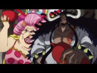 アニメ ワンピース ワノ国編 の動画 初月無料 動画配信サービスのビデオマーケット