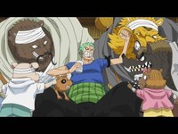 アニメ ワンピース ゾウ編 の動画まとめ 初月無料 動画配信サービスのビデオマーケット