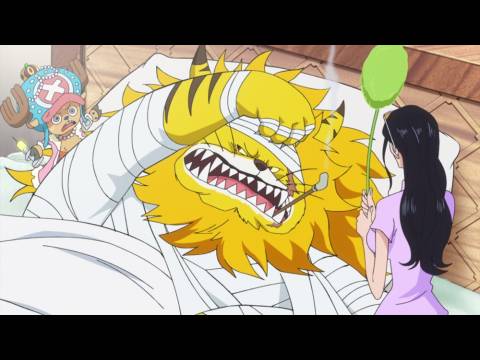 アニメ ワンピース ゾウ編 第765話 ネコマムシの旦那に会いに行こう フル動画 初月無料 動画配信サービスのビデオマーケット