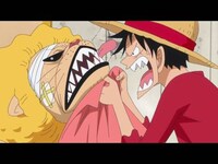 アニメ ワンピース ゾウ編 の動画まとめ 初月無料 動画配信サービスのビデオマーケット