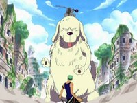 アニメ ワンピース 空島 黄金の鐘編 第174話 幻の都 雄大なるシャンドラの遺跡 フル動画 初月無料 動画配信サービスのビデオマーケット