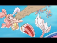 アニメ ワンピース 魚人島編 の動画まとめ 初月無料 動画配信サービスのビデオマーケット アニメ ワンピース 魚人島編 の動画まとめ 初月無料 動画配信サービスのビデオマーケット