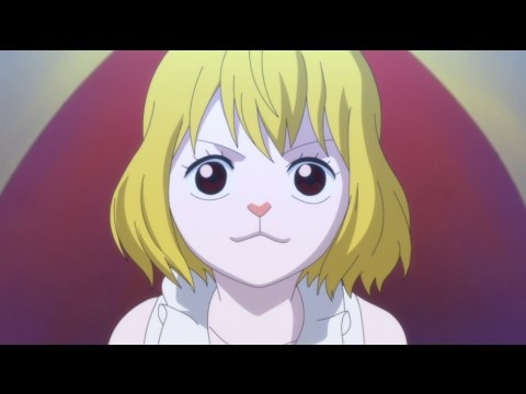 アニメ ワンピース ホールケーキアイランド編 第862話 月の獅子 キャロット神秘の大変身 フル動画 初月無料 動画配信サービスのビデオマーケット