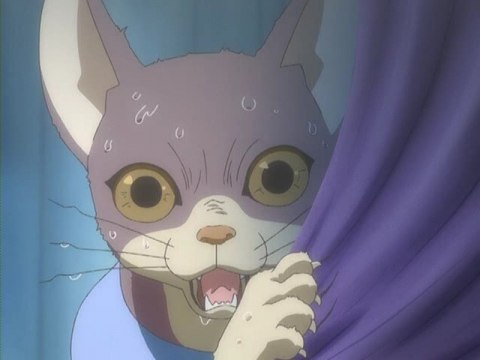 アニメ プリンセスチュチュ 14 Akt 大鴉 Blumenwalzer フル動画 初月無料 動画配信サービスのビデオマーケット