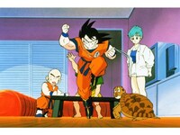 アニメ 劇場版 ドラゴンボールz フル動画 初月無料 動画配信サービスのビデオマーケット