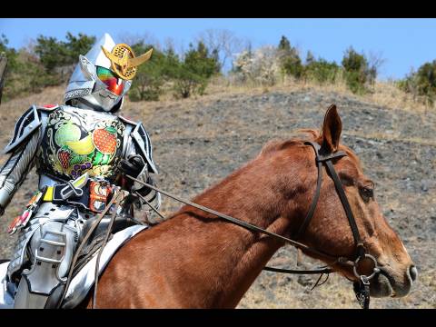 映画 劇場版 仮面ライダー鎧武 サッカー大決戦 黄金の果実争奪杯 劇場版 仮面ライダー鎧武 サッカー大決戦 黄金の果実争奪杯 フル動画 初月無料 動画配信サービスのビデオマーケット