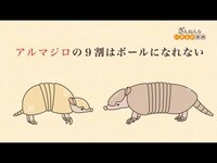 アニメ ざんねんないきもの事典 の動画まとめ 初月無料 動画配信サービスのビデオマーケット