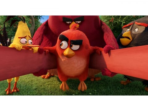 アニメ アングリーバード アングリーバード 吹き替え 字幕版 フル動画 初月無料 動画配信サービスのビデオマーケット