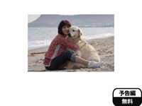 無料視聴あり 映画 犬と私の10の約束 の動画 初月無料 動画配信サービスのビデオマーケット 無料視聴あり 映画 犬と私の10の約束 の動画 初月無料 動画配信サービスのビデオマーケット