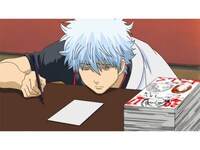 無料視聴あり アニメ 銀魂 の動画まとめ 初月無料 動画配信サービスのビデオマーケット