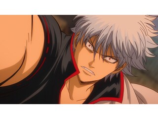 銀魂 第345話 しぶといとしつこいは紙一重 フル動画 無料体験 動画配信サービスのビデオマーケット