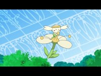 ポケットモンスター 第51話 第66話 第70話のまとめフル動画 初月無料 動画配信サービスのビデオマーケット ポケットモンスター 第51話 第66話 第70話のまとめフル動画 初月無料 動画配信サービスのビデオマーケット