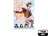 無料視聴あり 映画 四月は君の嘘 の動画 初月無料 動画配信サービスのビデオマーケット