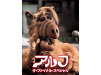 無料視聴あり 映画 アルフ ザ ファイナル スペシャル の動画 初月無料 動画配信サービスのビデオマーケット