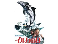 無料視聴あり 映画 イルカの日 の動画 初月無料 動画配信サービスのビデオマーケット