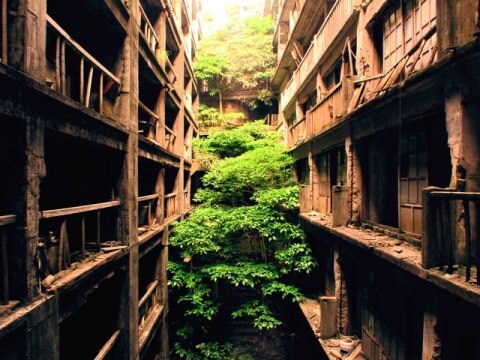 映画 軍艦島 Forest Of Ruins 軍艦島 Forest Of Ruins フル動画 初月無料 動画配信サービスのビデオマーケット