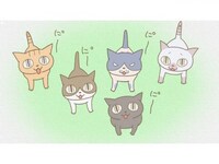 アニメ くるねこ の動画まとめ 初月無料 動画配信サービスのビデオマーケット