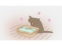 アニメ くるねこ の動画まとめ 初月無料 動画配信サービスのビデオマーケット