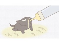 アニメ くるねこ 新シーズン 1 渡る世間は猫ばかり フル動画 初月無料 動画配信サービスのビデオマーケット アニメ くるねこ 新シーズン 1 渡る世間は猫ばかり フル動画 初月無料 動画配信サービスのビデオマーケット