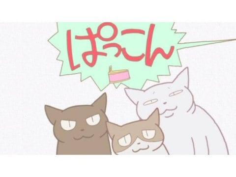 アニメ くるねこ 新シーズン 29 缶詰の音 フル動画 初月無料 動画配信サービスのビデオマーケット