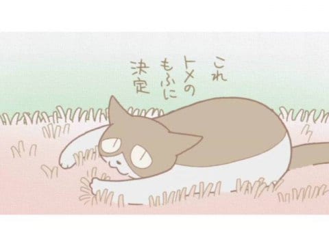 アニメ くるねこ 新シーズン 44 尾張の黒豹 ぼん太夫 トメのもふ フル動画 初月無料 動画配信サービスのビデオマーケット