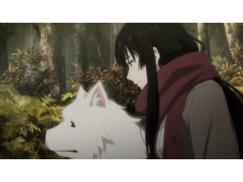 アニメ 櫻子さんの足下には死体が埋まっている 11 蝶は十一月に消えた 後編 フル動画 初月無料 動画配信サービスのビデオマーケット