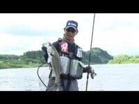 趣味 その他 シーバス王vol 8 アウェイの洗礼 辺見哲也 大野ゆうき リバーシーバス 川鱸 の動画 初月無料 動画配信サービスのビデオマーケット