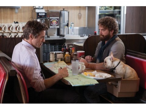 映画 デュー デート 出産まであと5日 史上最悪のアメリカ横断 デュー デート 出産まであと5日 史上最悪のアメリカ横断 吹き替え 字幕版 フル動画 初月無料 動画配信サービスのビデオマーケット