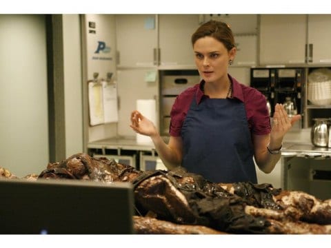 ドラマ Bones 骨は語る シーズン4 第10話 殺人フライト 吹き替え 字幕版 フル動画 初月無料 動画配信サービスのビデオマーケット