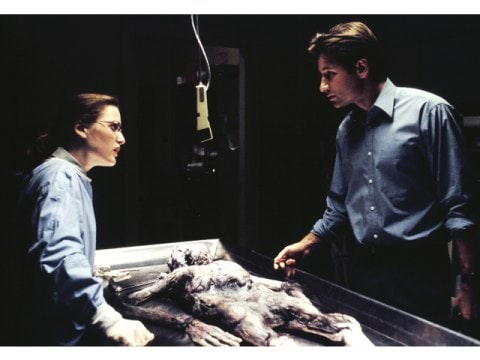 ドラマ X ファイル シーズン1 第1話 序章 吹き替え 字幕版 フル動画 初月無料 動画配信サービスのビデオマーケット