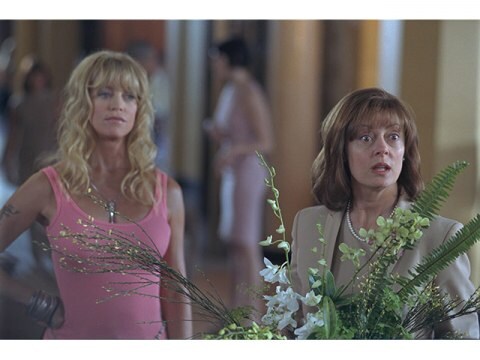 映画 バンガー シスターズ バンガー シスターズ 字幕版 フル動画 初月無料 動画配信サービスのビデオマーケット