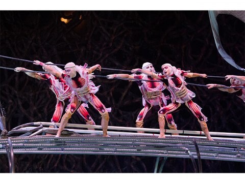 映画 シルク ドゥ ソレイユ 彼方からの物語 シルク ドゥ ソレイユ 彼方からの物語 吹き替え 字幕版 フル動画 初月無料 動画配信サービスのビデオマーケット