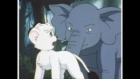 第十一章 森の掟