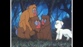 第四十七章~第五十二章